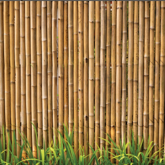 גדרות במבוק לחצר – טבעי. מרשים. עמיד הכניסו חמימות וטבע לחצר עם גדרות במבוק איכותיות פתרון דקורטיבי ועמיד שמעניק תחושת שלווה ואסתטיקה בגינה. התאמה אישית מלאה לפי מידה, כולל התקנה מקצועית